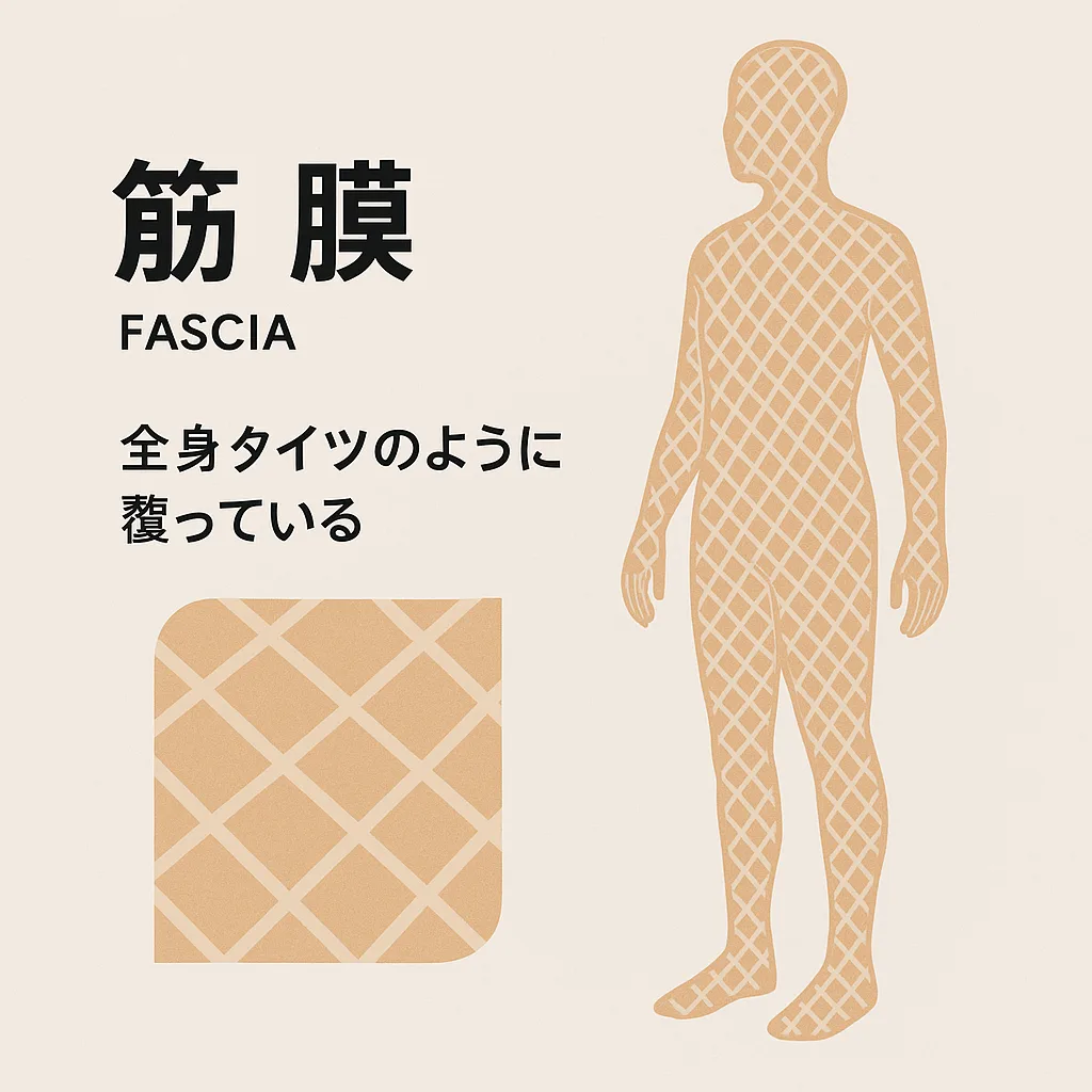 製品画像