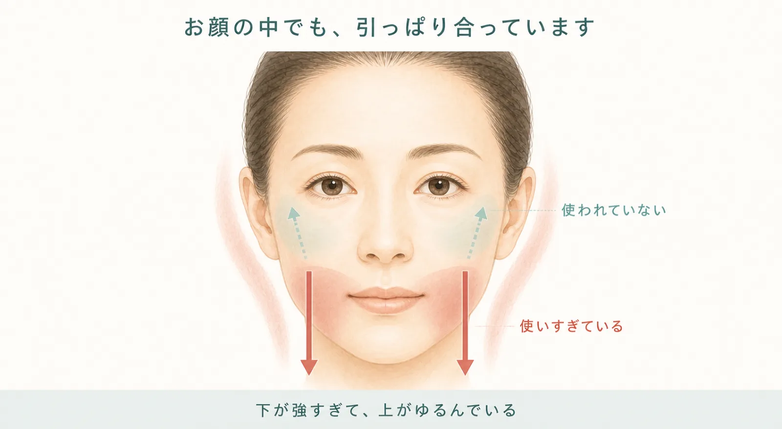 お顔の中でも引っぱり合っています。口のまわりは使いすぎて下に引っぱり、頬は使われていない