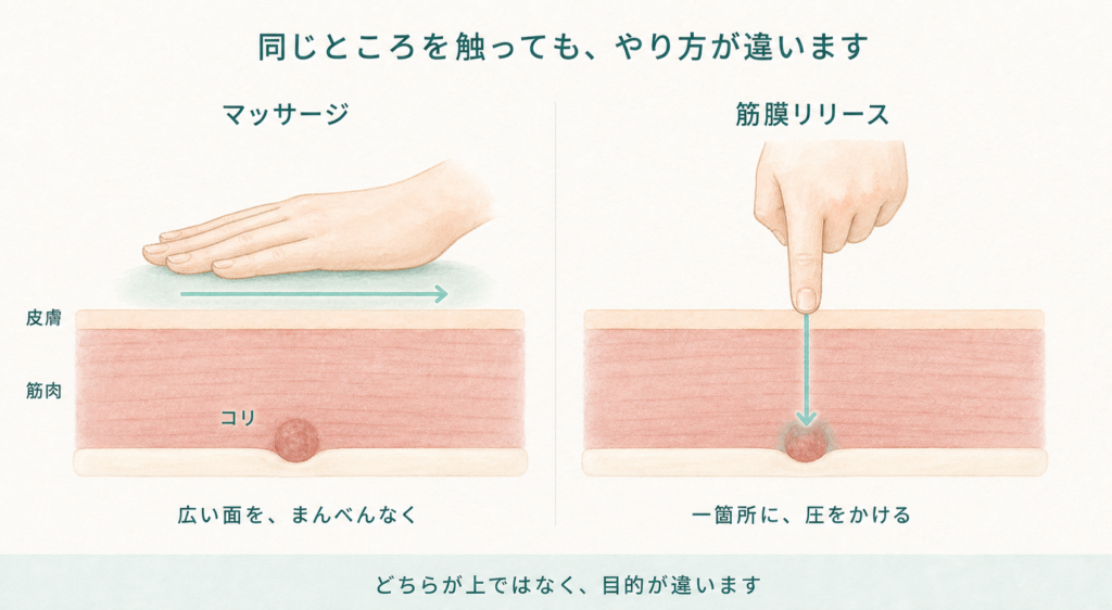 マッサージは広い面を横にすべらせ、筋膜リリースは一箇所に垂直に圧をかける比較図