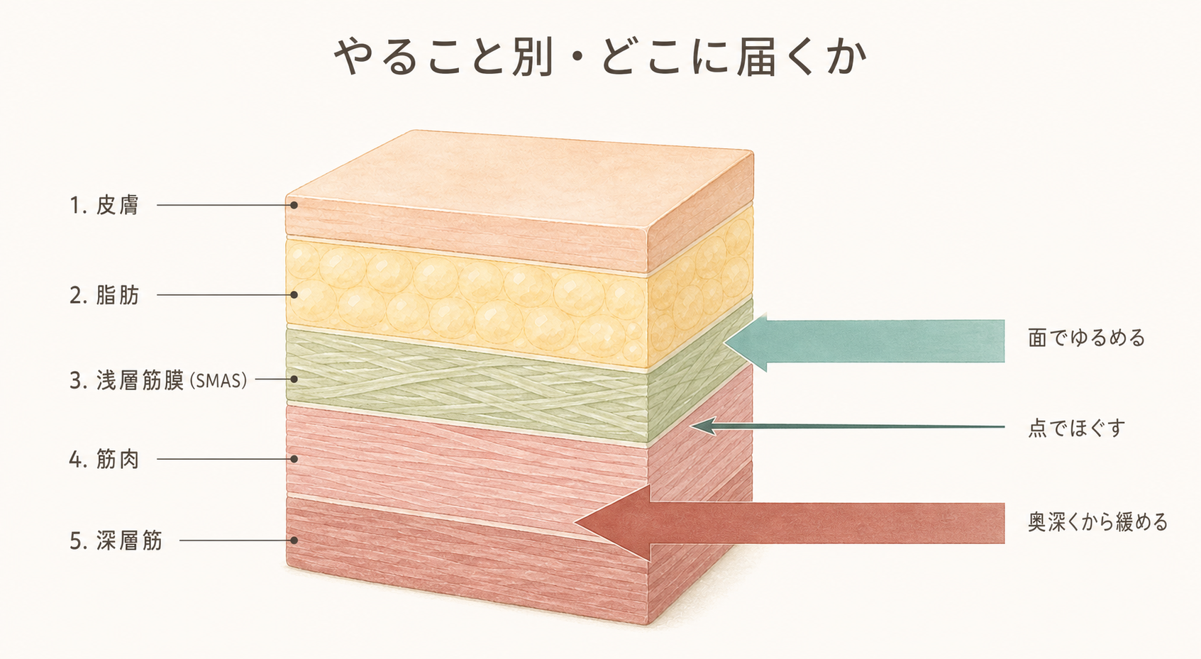 やること別・どこに届くか。面でゆるめる／点でほぐす／奥深くから緩める