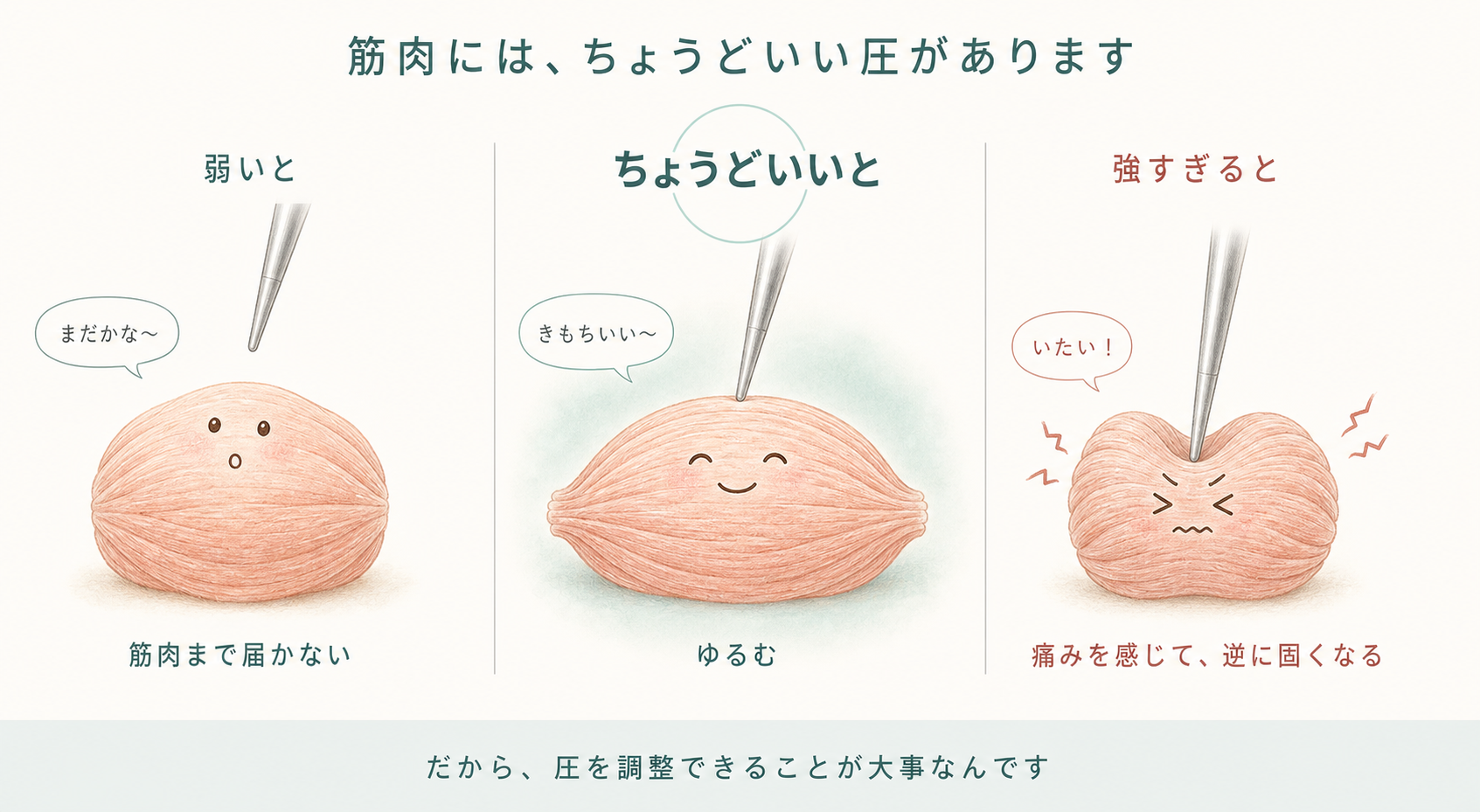 筋肉には、ちょうどいい圧があります。弱いと筋肉まで届かない/ちょうどいいとゆるむ/強すぎると痛みを感じて逆に固くなる