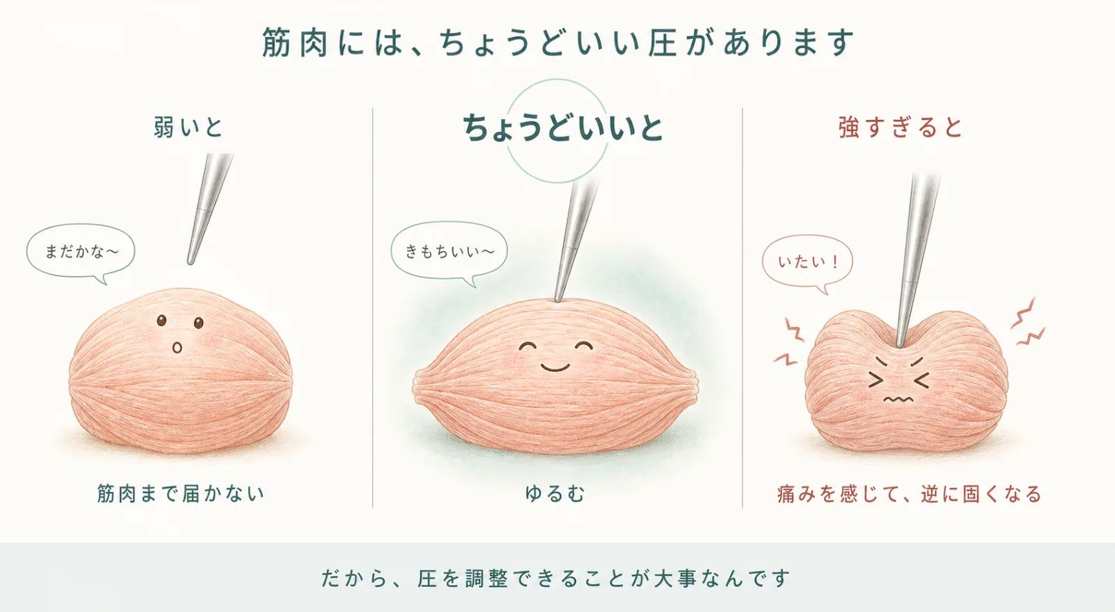 筋肉には、ちょうどいい圧があります。弱いと筋肉まで届かない/ちょうどいいとゆるむ/強すぎると痛みを感じて逆に固くなる