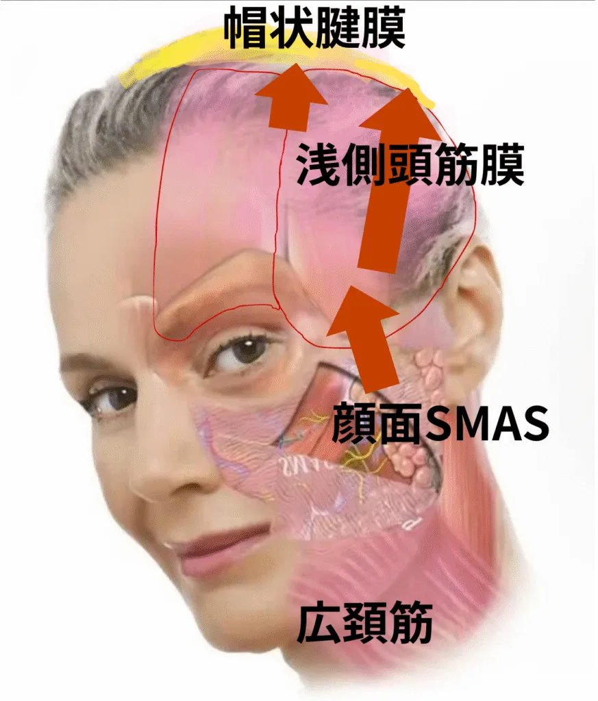 製品画像